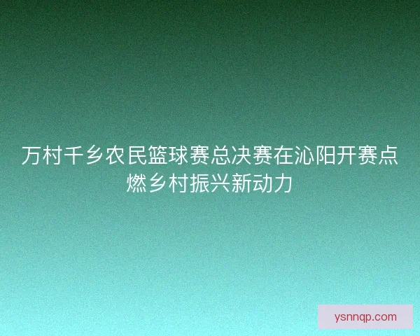 万村千乡农民篮球赛总决赛在沁阳开赛点燃乡村振兴新动力